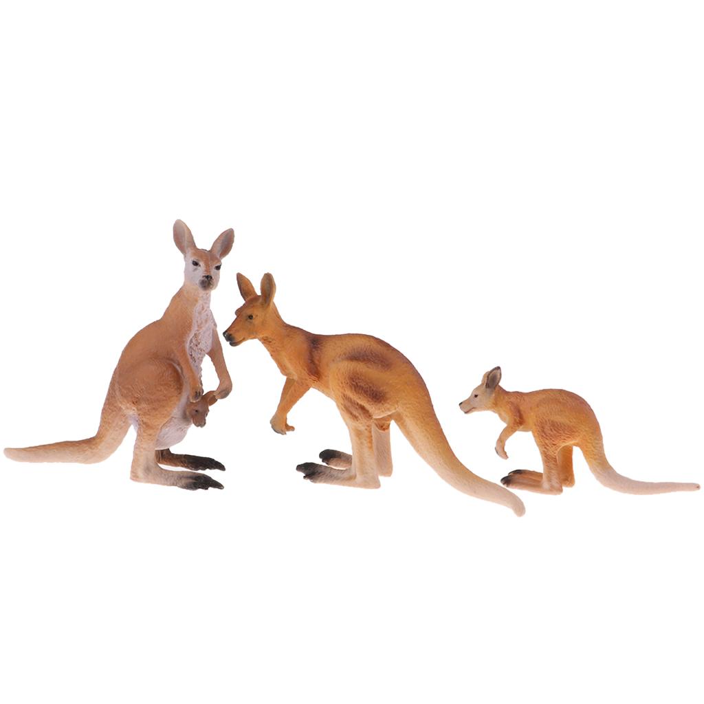Kangaroo Kids Education - Realistic Animals Action Figure Kangaroo Family