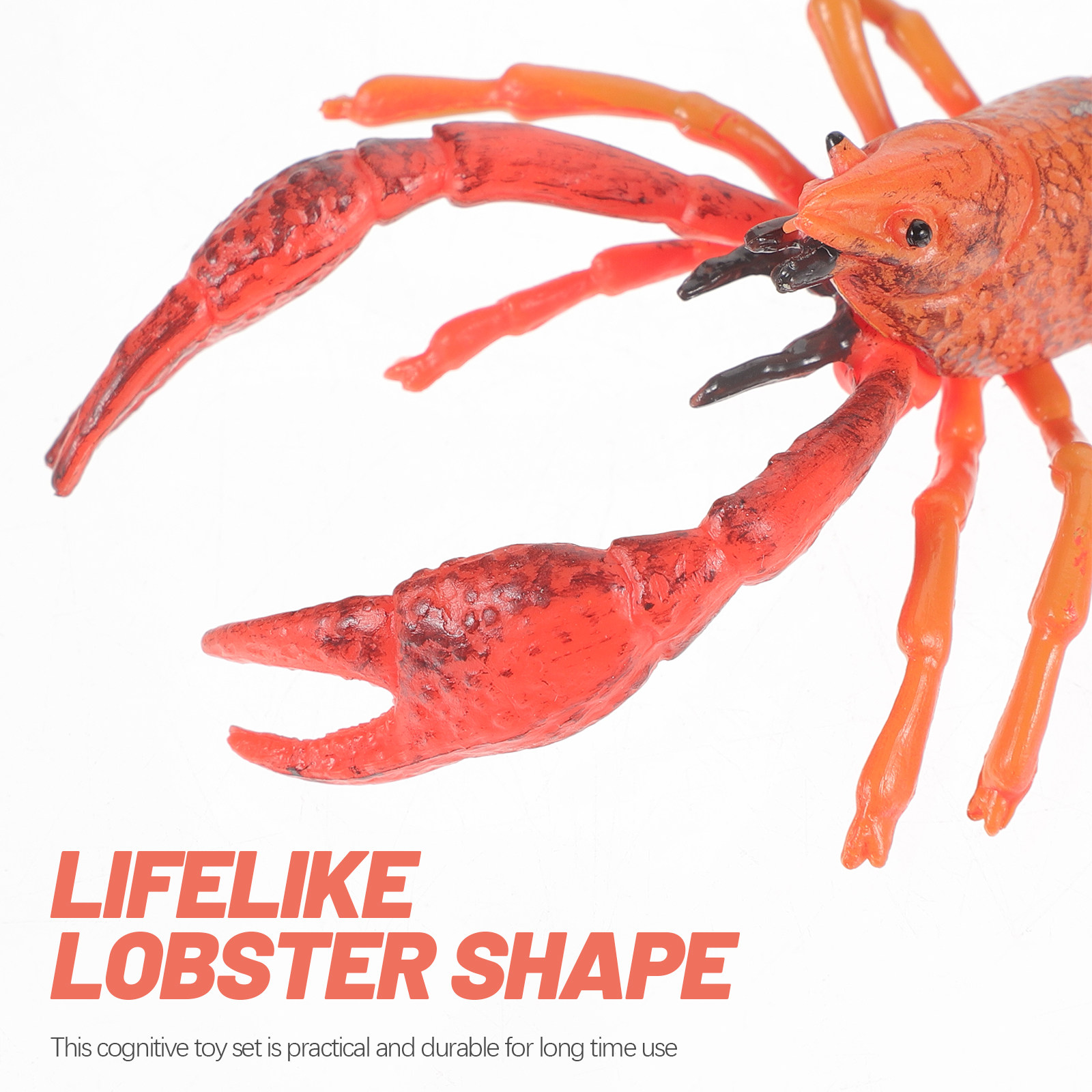 1Set Animal Cognitive Lobster  - Kids Education Help recension och pris