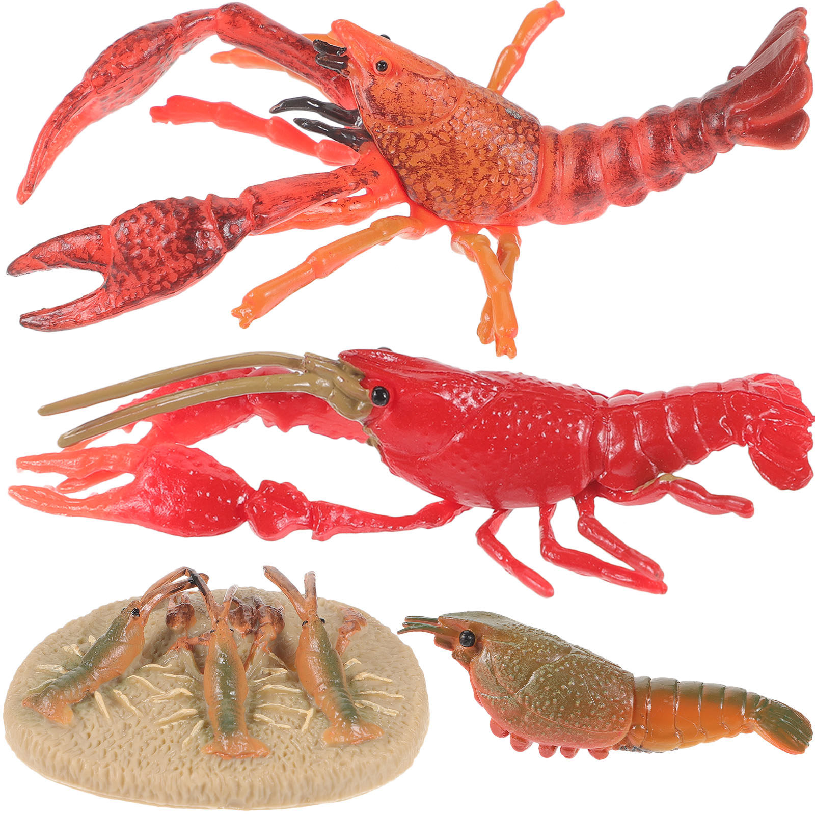 1Set Animal Cognitive Lobster  - Kids Education Help recension och pris