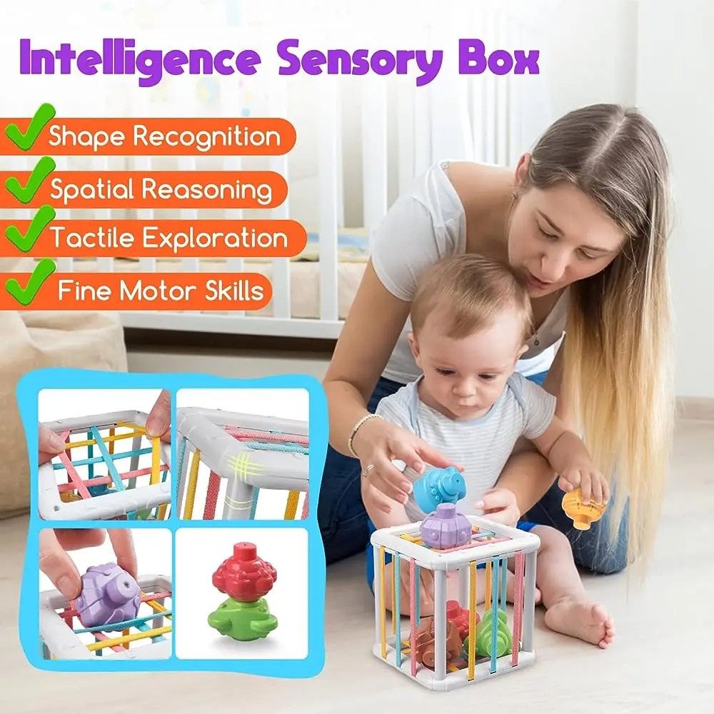 Rainbow Colorful Montessori Sh - Kids Educational Device recension och pris