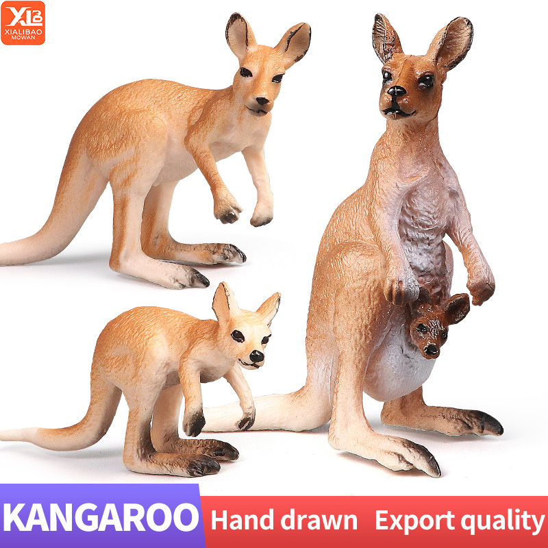 New Wildlife World Kangaroo Se - Kangaroo Kids Education recension och pris