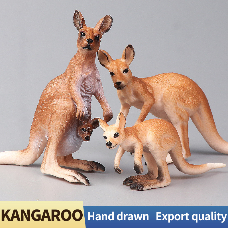 New Wildlife World Kangaroo Se - Kangaroo Kids Education recension och pris