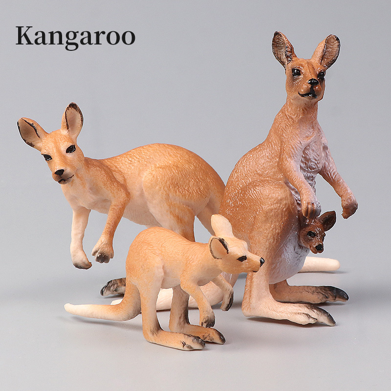 New Wildlife World Kangaroo Se - Kangaroo Kids Education recension och pris