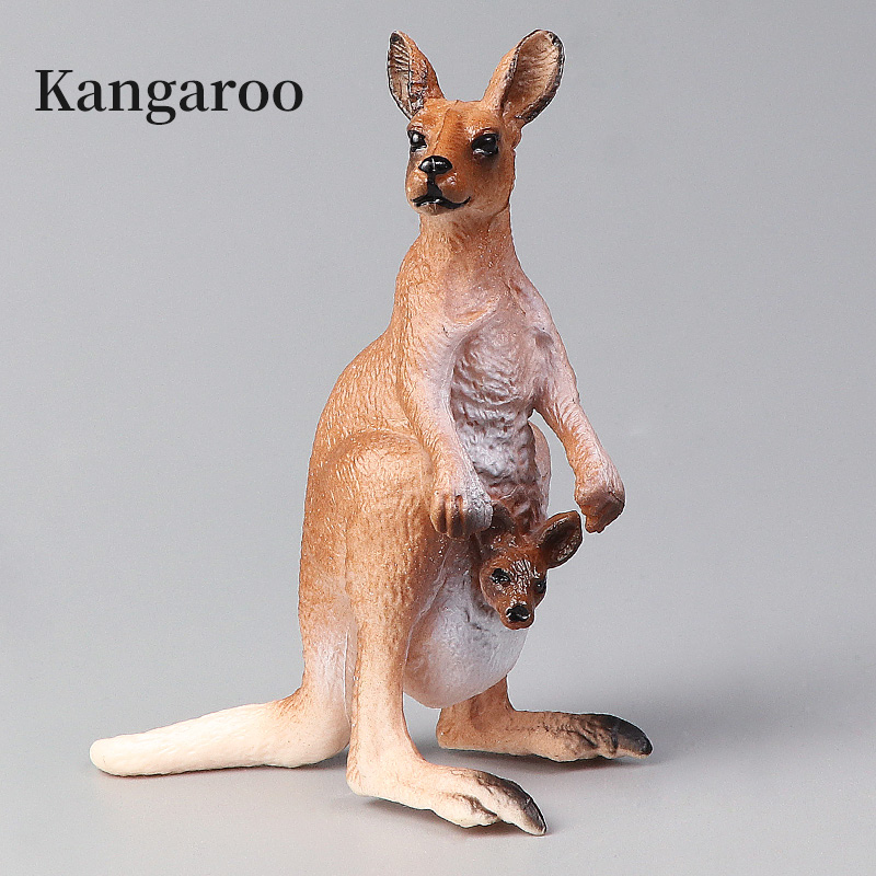 New Wildlife World Kangaroo Se - Kangaroo Kids Education recension och pris